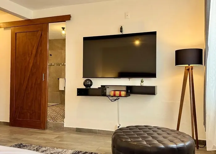 Ikan Hub | Spacious Vintage 3br Near Coyoacán *