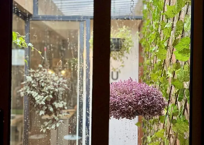 Ikan Hub | Spacious Vintage 3br Near Coyoacán