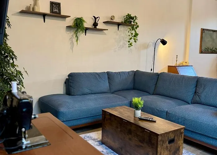 Ikan Hub | Spacious Vintage 3br Near Coyoacán Apartamento México DF